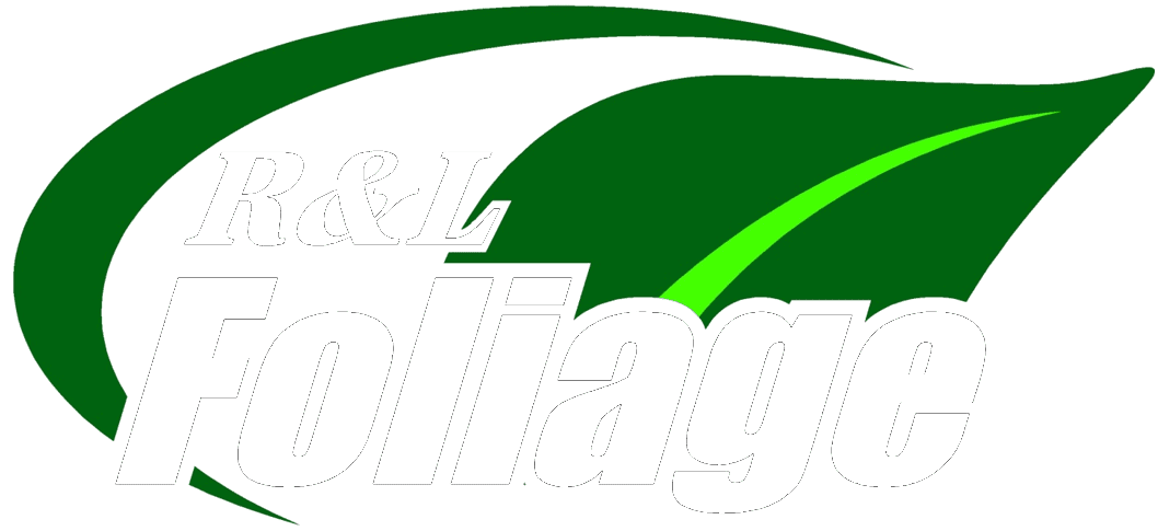 logotranswhite