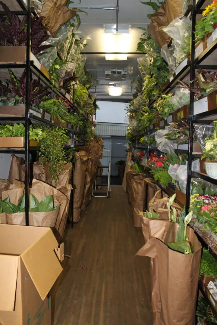 A long hallway with many shelves filled with plants.